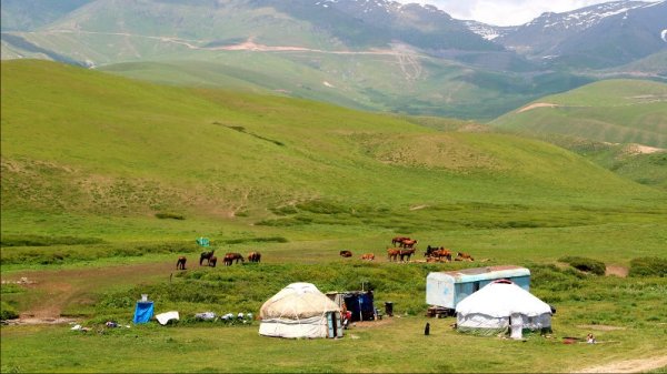 Спасенные пастбища принесут Кыргызстану $19,2 млн — Tazabek