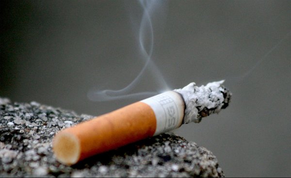 В марте на сигаретах в странах ЕАЭС появятся изображения органов человека, пораженных опасными болезнями вследствие курения — Tazabek