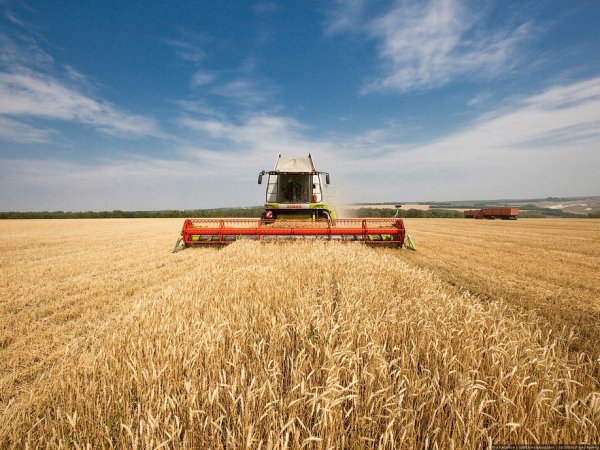 Минсельхоз назвал основные риски в сфере развития сельского хозяйства на 2017-2019 годы — Tazabek