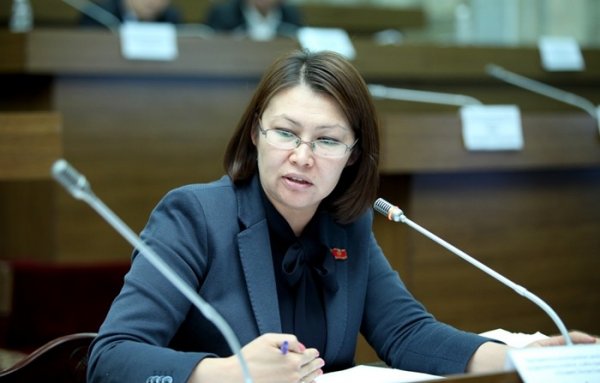 Депутат А.Омурбекова предложила внедрить дополнительное обязательное страхование работающего населения с участием страховых компаний — Tazabek