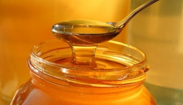 Кыргызстан может экспортировать в Евросоюз мед, но не другие продукты животного происхождения, - эксперты ВСП+ — Tazabek