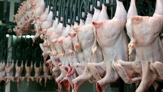 В Жогорку Кенеше требуют рассмотреть вопрос соответствия К.Жумаканова на пост главы Госветинспекции, если он не решил вопрос с ввозом мяса птицы — Tazabek