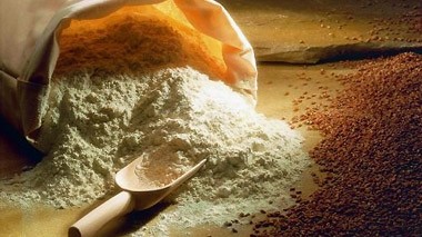 Фискальный комитет одобрил отмену освобождения от НДС импорта зерна и муки — Tazabek