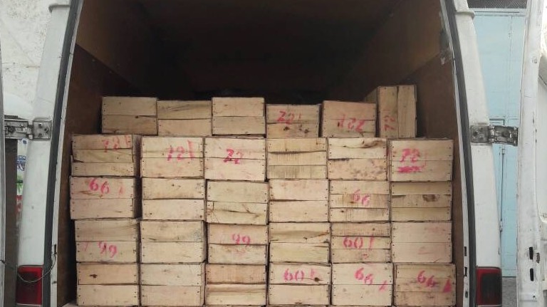Таможня пресекла контрабандный ввоз 2,9 тонны мандаринов из Таджикистана — Tazabek