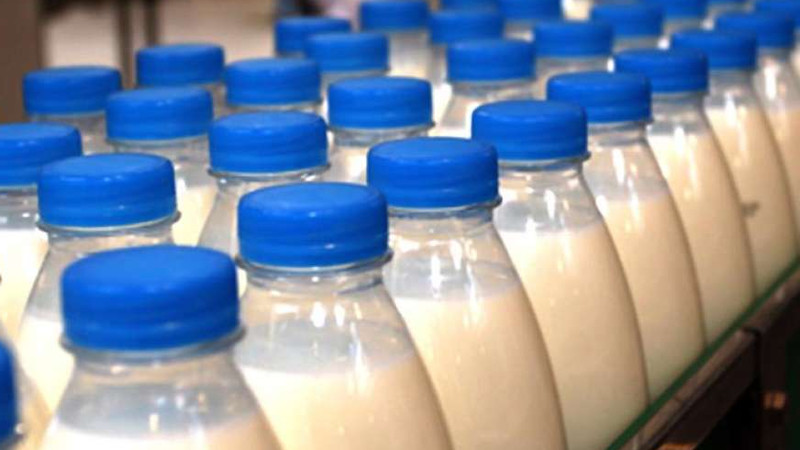 За 4 месяца по Кыргызстану произведено 380,5 тыс. тонн молока или рост составил 2,1% — Tazabek