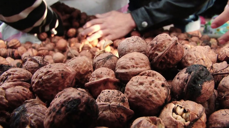 В Новосибирскую область не пропустили 500 кг грецких орехов из Кыргызстана — Tazabek