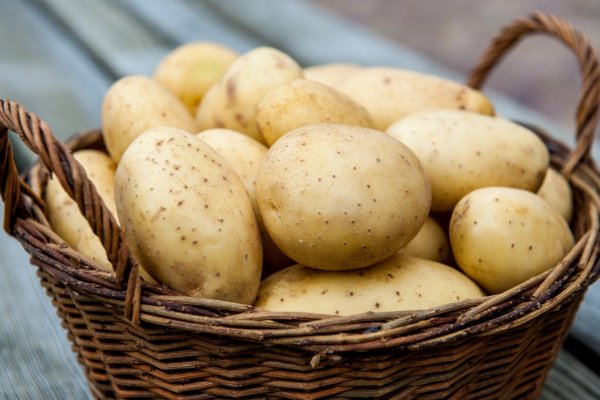 Казахстан еще не ответил Кыргызстану на вопрос о недопущении кыргызских фермеров на алма-атинский рынок «Алтын-Орда» без оплаты за каждый кг картофеля — Tazabek
