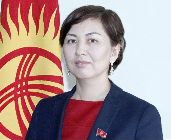 Депутат М.Мавлянова предлагает облегчить условия пребывания туристов в Кыргызстане и просит помочь заемщикам из Кызыл-Кии — Tazabek