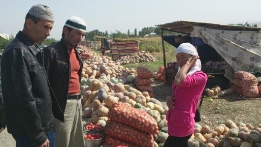 В этом году 700 млн сомов будет направлено на субсидирование кредитов фермеров, - депутат — Tazabek