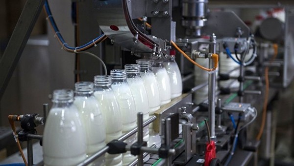 Кыргызстану нет необходимости вводить ограничения на поставки белорусской молочной продукции по примеру России, - Госфитосанинспекция — Tazabek