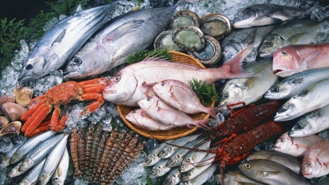 Исландская рыба, моллюски из Кореи — какие морепродукты доступны кыргызстанцам? (страны, объемы поставок) — Tazabek
