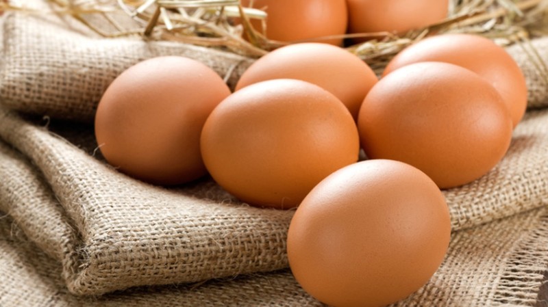 Казахстан опровергает информацию о задержании и возврате партии куриных яиц, направлявшихся в Кыргызстан — Tazabek