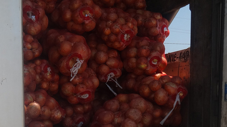Кыргызстанские персики и абрикосы не пропустили на московский овощной рынок — Tazabek
