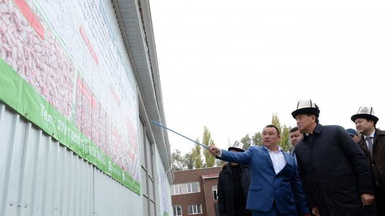 Президент С.Жээнбеков побывал на открытии завода по переработке фасоли в Таласской области — Tazabek