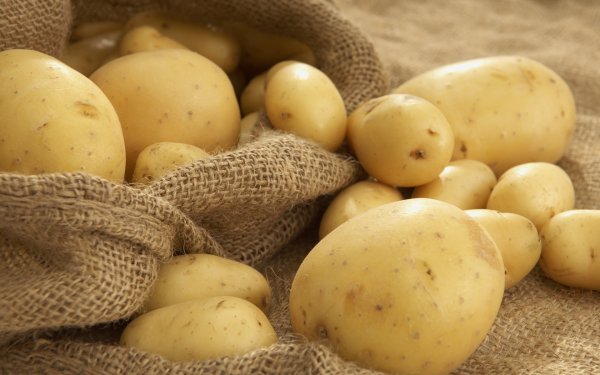 Ассоциация рынков об экспорте картофеля в Казахстан: На казахстанских рынках кыргызстанский картофель продается с накруткой в 2 тенге — Tazabek
