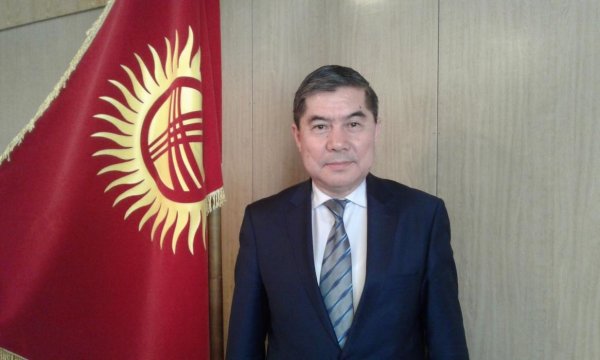 Кыргызстан до 10 мая проанализирует информацию о ввозе зараженного картофеля в Казахстан — Tazabek