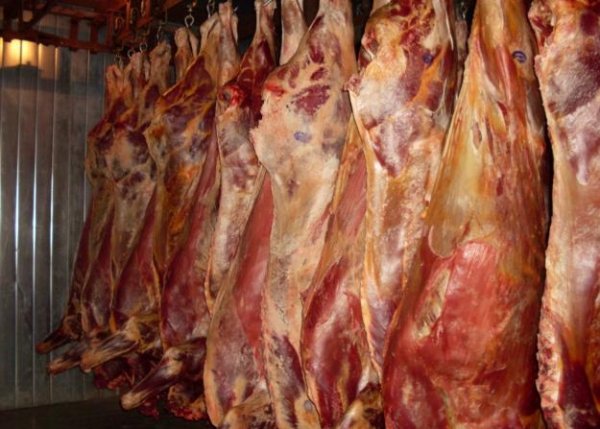 Госветинспекция в Бишкеке выявила ряд нарушений по приемке и хранению мяса, устанавливается личность владельца (адрес) — Tazabek