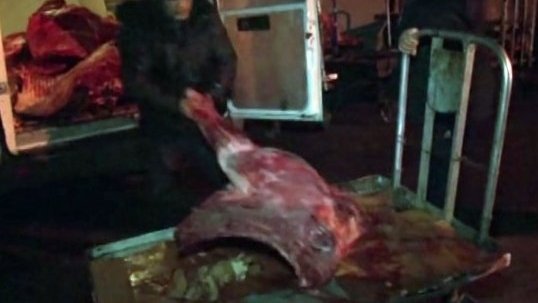 Мясо больных животных поставляли в колбасный цех в селе Ново-Павловка, - Госветинспекция о мертвечине, ранее задержанной ГСБЭП — Tazabek