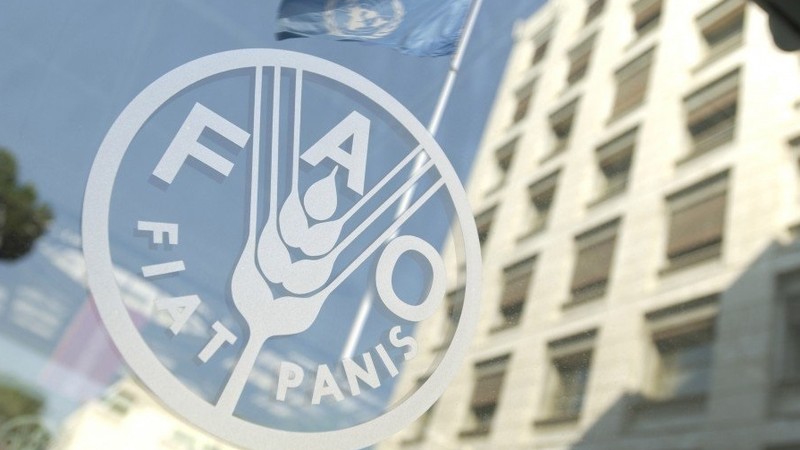ФАО: Своевременная финансовая помощь поможет фермерам продолжать производить продовольствие и снизит общие гуманитарные затраты — Tazabek