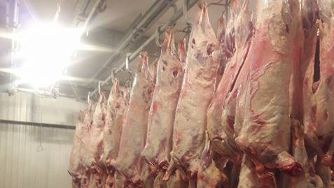 В Чуйской области хотят создать карантинную зону для экспорта мяса — Tazabek