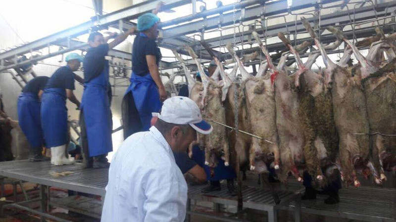 Госветинспекция и Россельхознадзор обсудили возможность поставки сырого мяса из КР в РФ — Tazabek