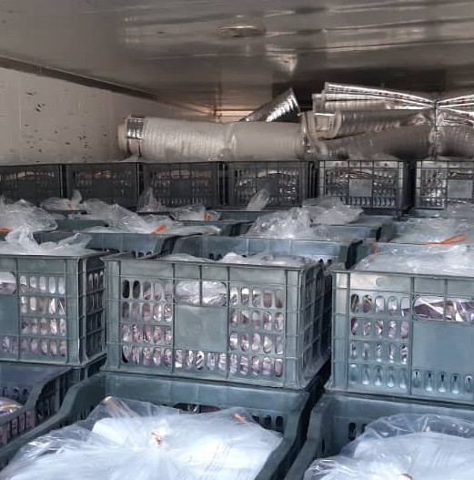 ГТС пресекла контрабанду более 10 тонн винограда — Tazabek