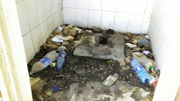 Каждый год говорится об отсутствии туалетов по дороге на Иссык-Куль, но их до сих пор нет, - премьер С.Жээнбеков — Tazabek