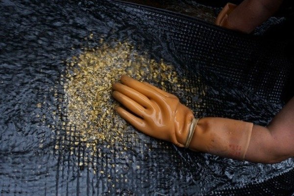 Рассматривается введение экспортной пошлины на вывоз золотосодержащей руды, - Минэкономики — Tazabek