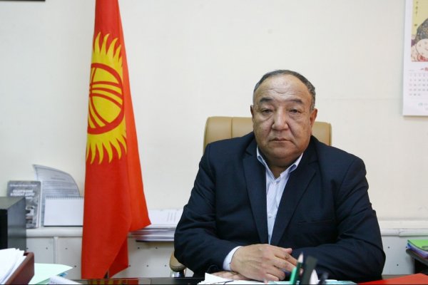 Резюме нового директора Департамента дорожного хозяйства Арстанбека Ибраева — Tazabek