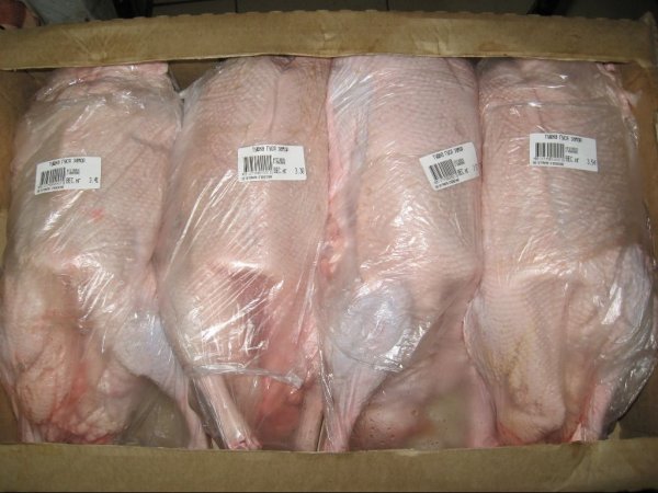 Таможенники выявили факт неуплаты таможенных пошлин на 1,2 млн сомов при ввозе утиного мяса из Китая — Tazabek