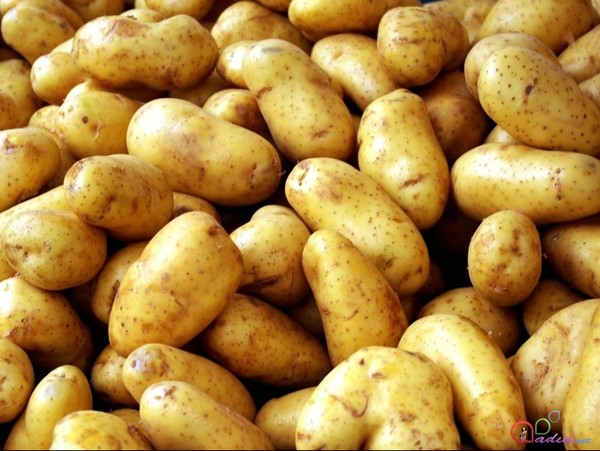 ГТС пресекла контрабандный ввоз свыше 30 тонн картофеля из Таджикистана — Tazabek