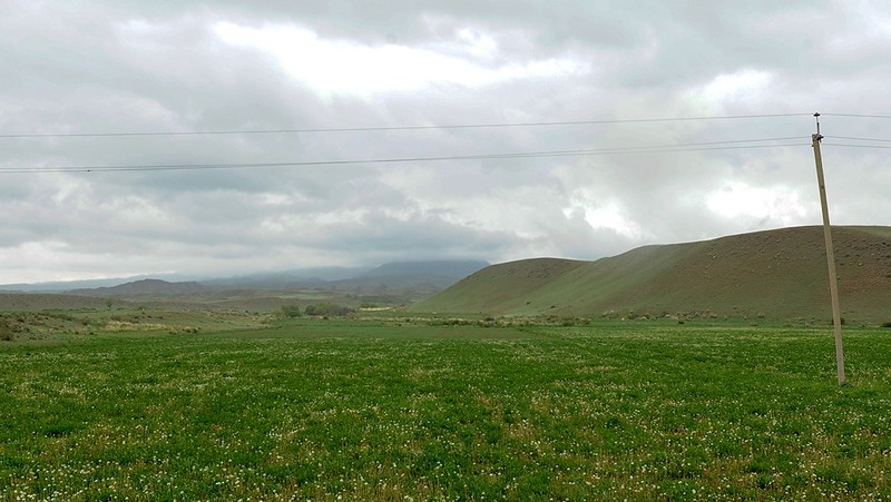 Правительство хочет наделить кооперативы преимущественным правом на получение земель сельхозназначения — Tazabek