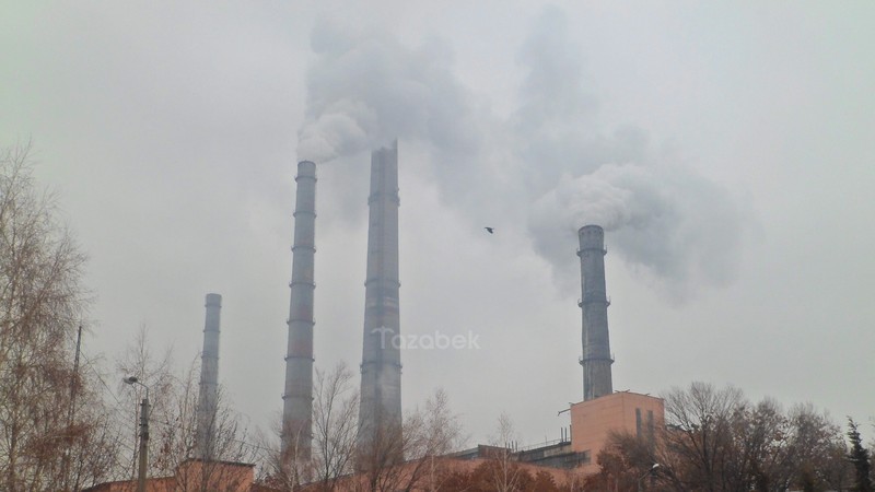 Самая свежая поставка угля из Казахстана была 19 октября, - «Электрические станции» — Tazabek