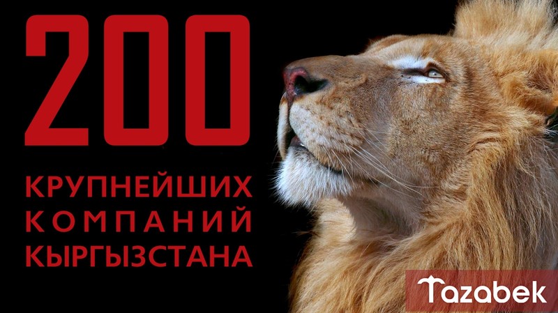 567 компаний — Кто вошел в ТОП-200 крупнейших компаний Кыргызстана? — Tazabek