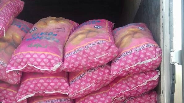 Таможня пресекла контрабандный ввоз 11 тонн картофеля из Таджикистана — Tazabek