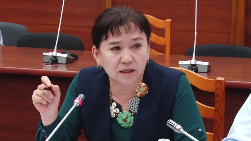 Депутат предложила ликвидировать «Нацэнергохолдинг» и восстановить министерство энергетики — Tazabek