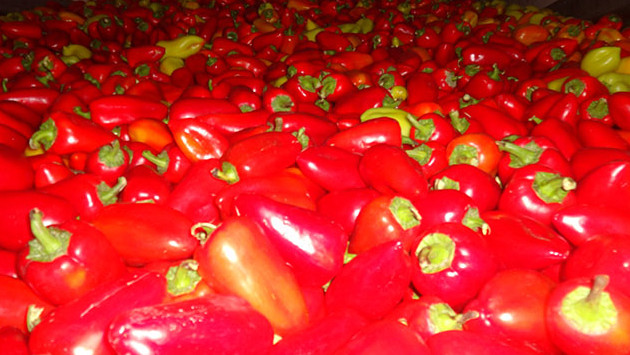 В Оренбургскую область не пропустили 63,1 тонны кыргызстанских фруктов, орехов миндаля и риса — Tazabek