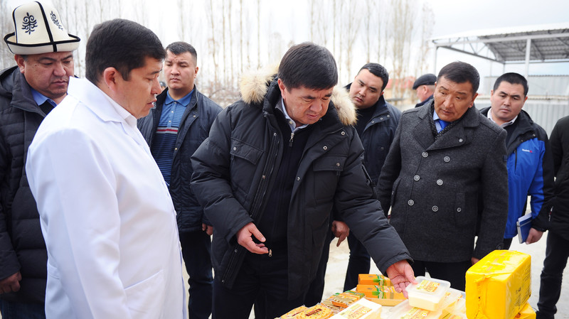 Премьер ознакомился с деятельностью ряда сельскохозяйственных объектов Таласской области — Tazabek