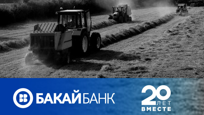 «Бакай Банк» объявляет о начале приема заявлений на льготное кредитование для фермеров — Tazabek