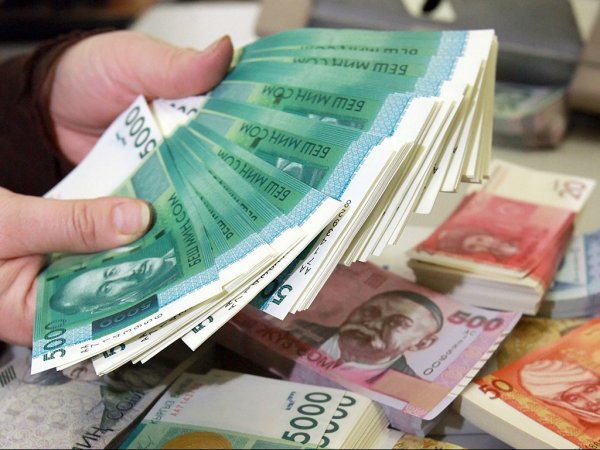 Общая сумма долга налогоплательщиков, имеющих крупную налоговую задолженность, составила 537,8 млн сомов — Tazabek