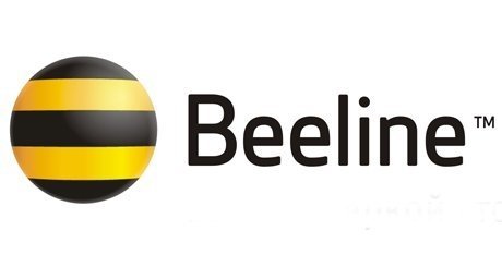 Beeline задолжал бюджету 449,3 млн сомов, - ГНС — Tazabek