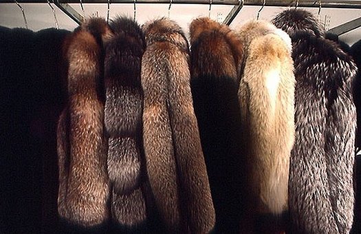 С 12 августа в странах ЕАЭС будет запрещена реализация немаркированных меховых изделий — Tazabek