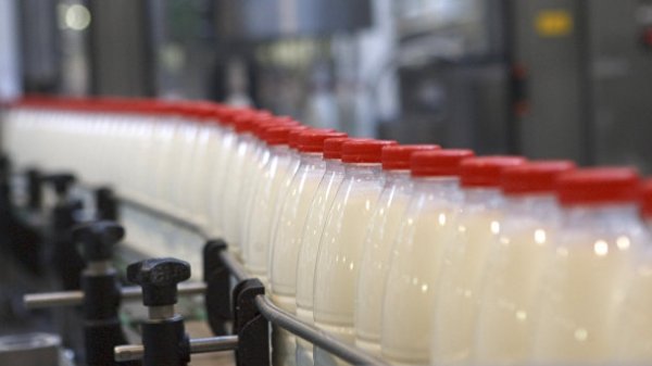 Комитет ЖК по бюджету и финансам одобрил проект по повышению производительности молочного сектора в Иссык-Кульской области на $525,5 тыс. — Tazabek