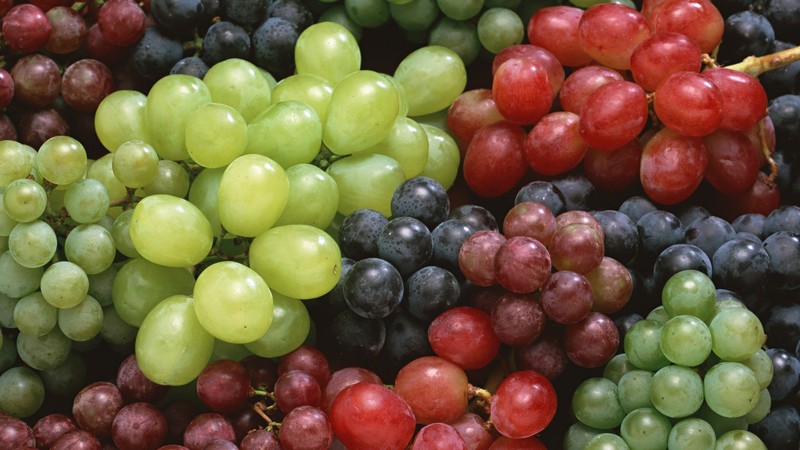 Казахстан вернул в Кыргызстан 21,3 тонны сухофруктов и 36 тонн винограда из-за выявления карантинных вредителей — Tazabek