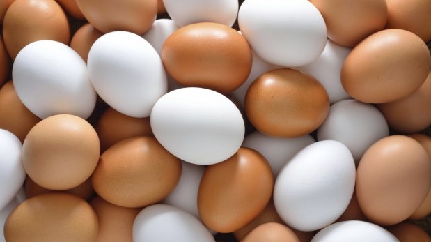 Госфитосанинспекция не пропустила в Кыргызстан 302,4 тыс. яиц из Казахстана — Tazabek