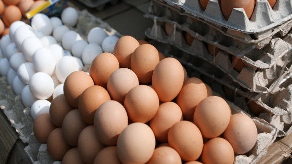 Бишкекская ветинспекция в 2017 году утилизировала 5,4 тыс. штук яиц — Tazabek