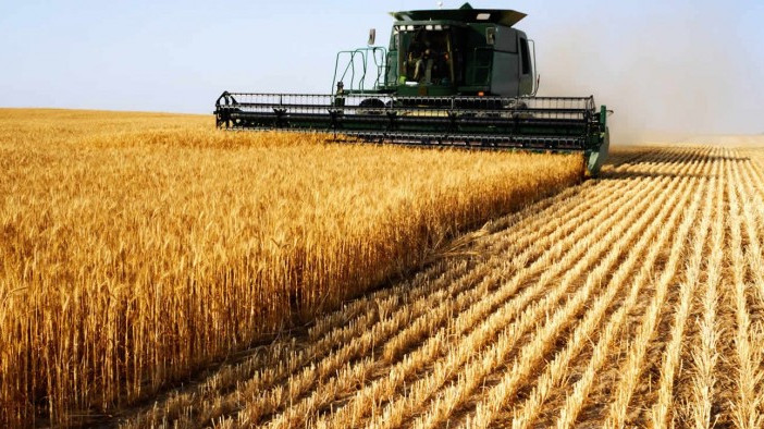 ТОП-7 стран по поставке семян пшеницы в Кыргызстан — Tazabek