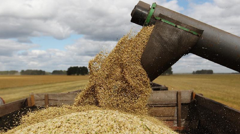 Какой регион КР в 2018 году обеспечил республику наибольшим объемом зерна? — Tazabek