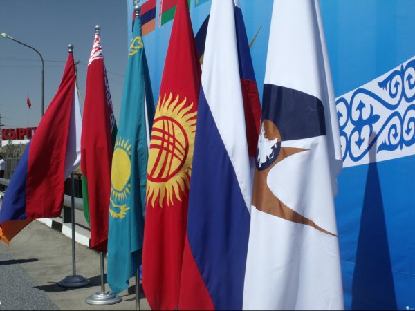 В реестр ЕЭК планируют войти еще 7 кыргызстанских предприятий — Tazabek