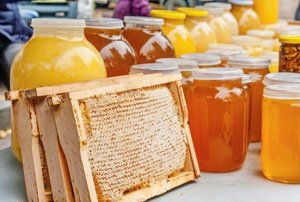 Евросоюз не покупает мед у многих государств, но Кыргызстан попал в список стран-экспортеров меда в ЕС, - бизнесмен — Tazabek